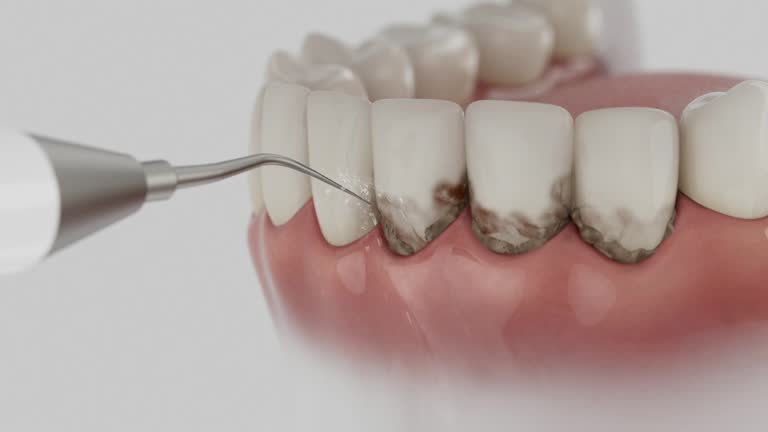 Reliable Dental contractor in Highland, MD by Dentist Open Now